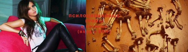 первитин Кодинск
