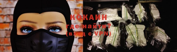 стаф Калининец