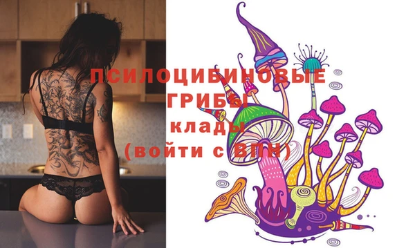 первитин Кодинск