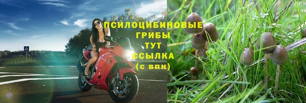 винт Козловка