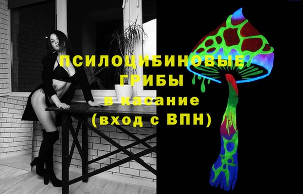 прущая мука Корсаков