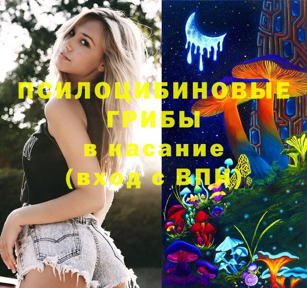 первитин Кодинск