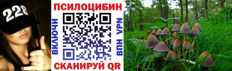 Купить закладки  Маркс  Псилоцибиновые грибы ЛСД 